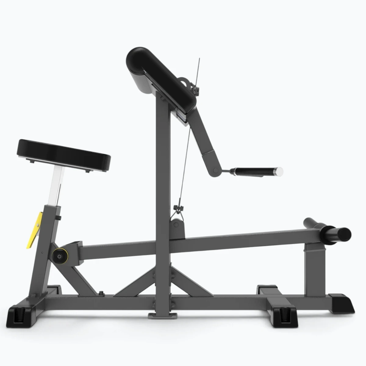 IFP1501-2Bíceps Curl (Gama IFP)