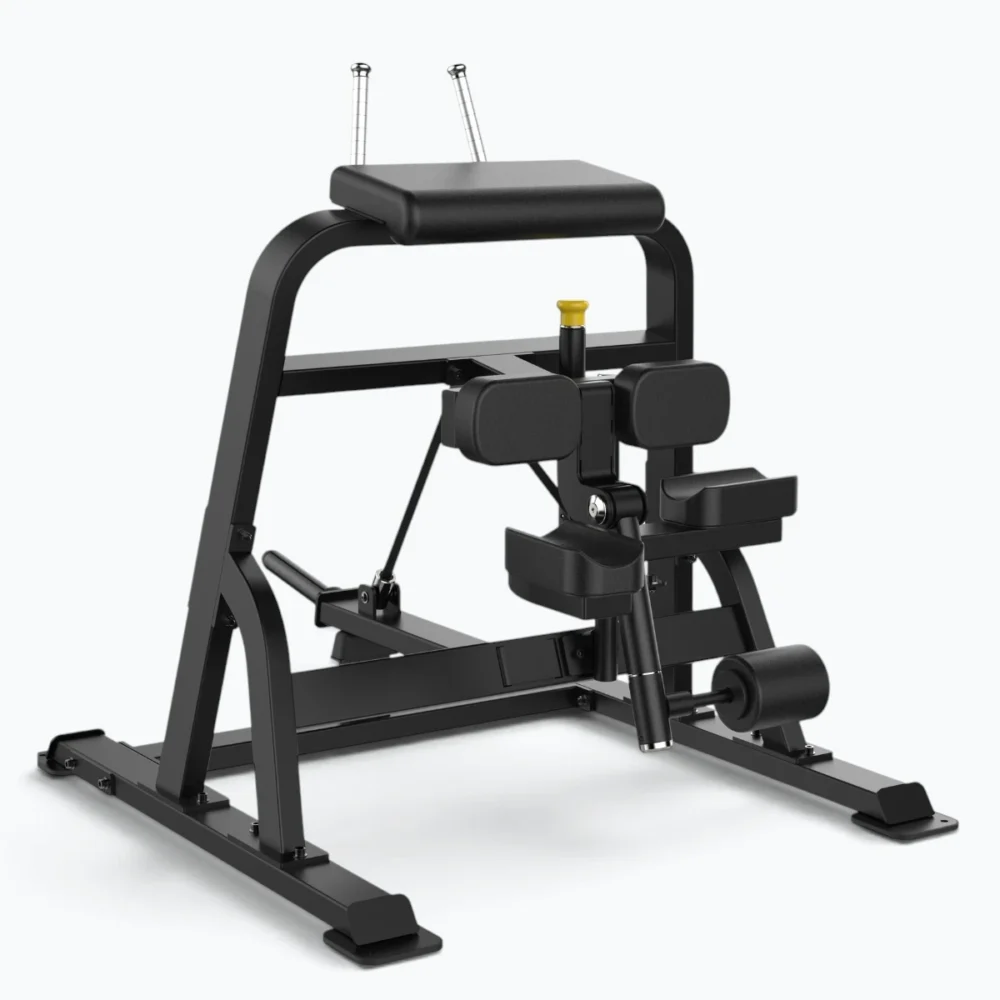 Curl Pierna (Gama SL)