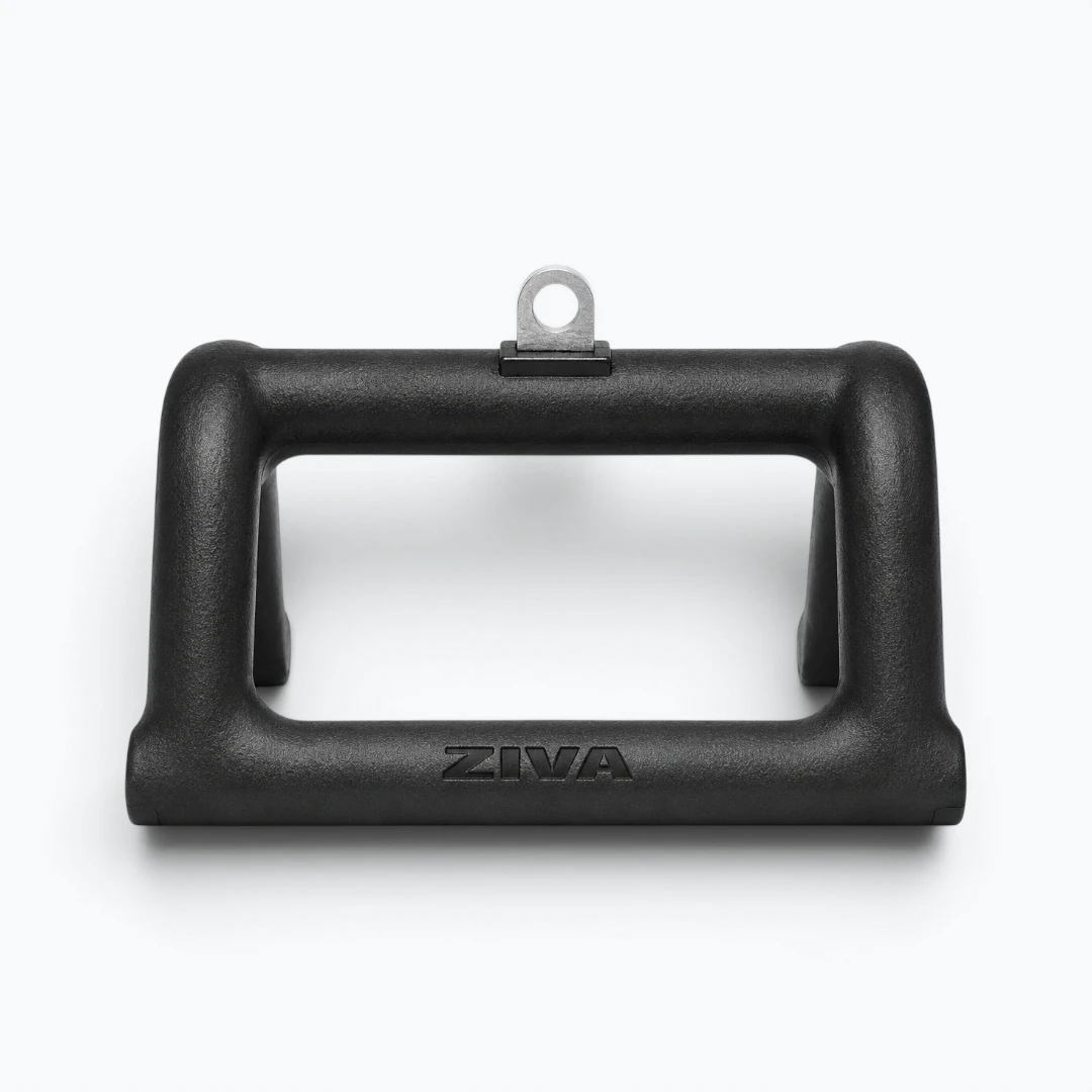 ziva-1569-frente