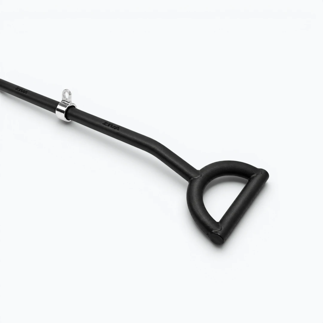 ziva-1573-detalle-inv2
